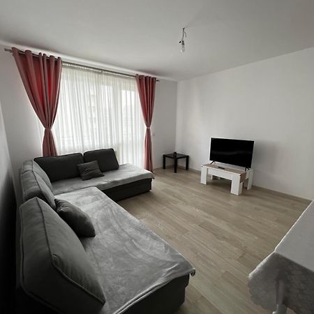 Tractoru Premium Studio Braşov Dış mekan fotoğraf